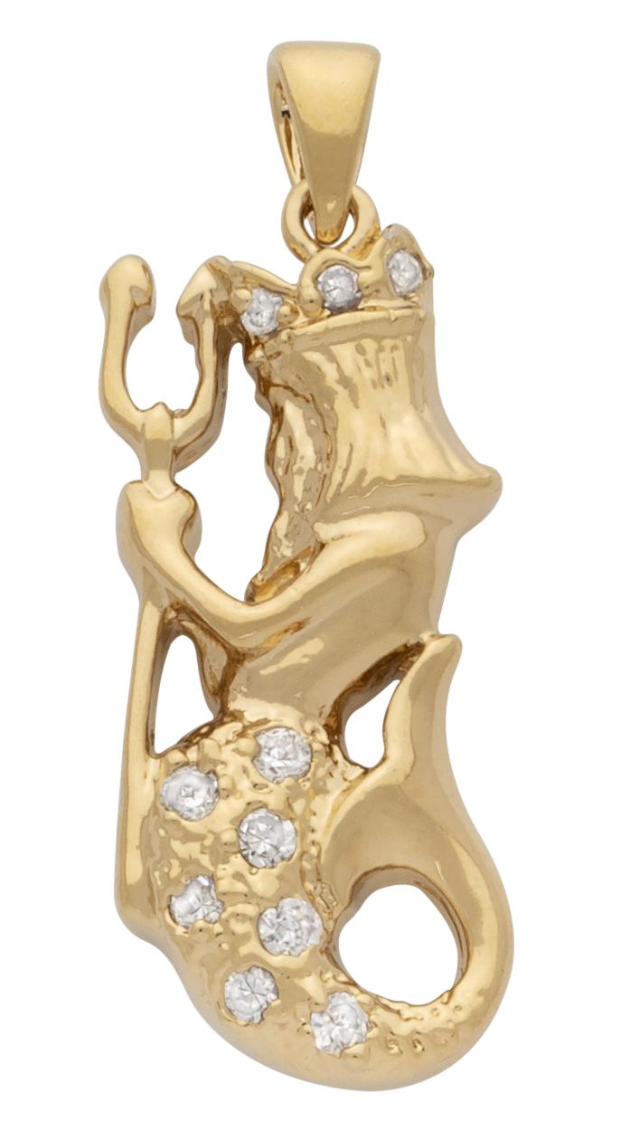 BLCZP-802Z | CZ
"Aquarius"
Pendant