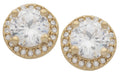 BLCZE-196Z CZ round earrings