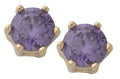 BSE-042 | Circle Birthstone Earring-Feb/Amethyst