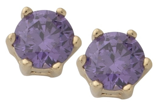 BSE-042 | Circle Birthstone Earring-Feb/Amethyst
