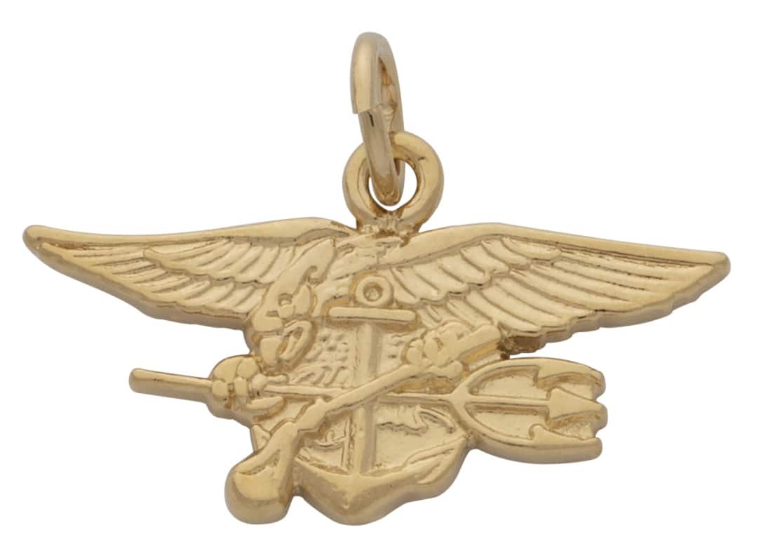 G-035 | Military Wings Charm