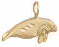 N-086 | Manatee Charm