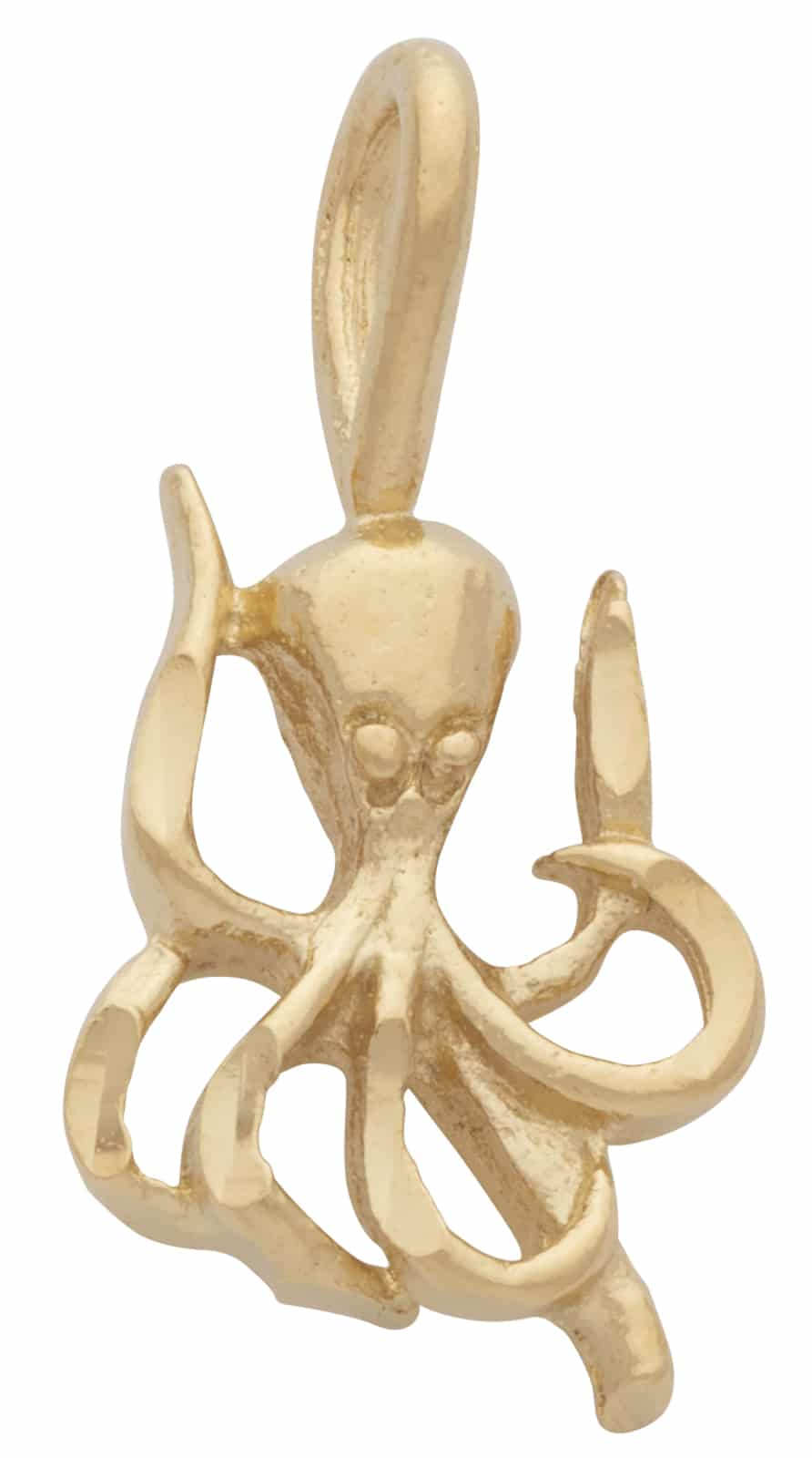 N-107 | Small Octopus Charm