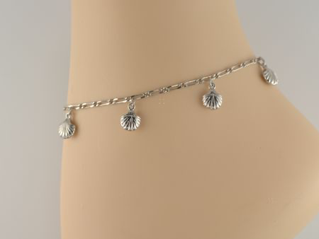 G869 Figaro/Dangling Shells
