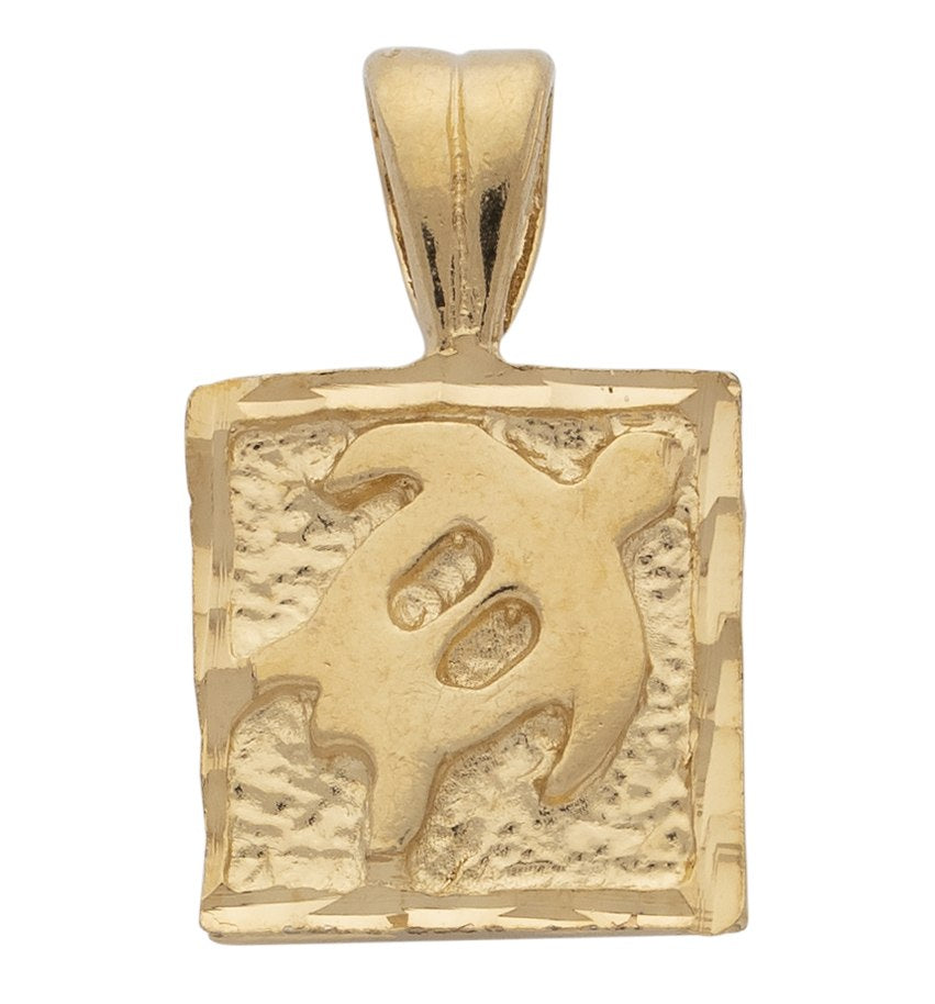 A-076 | Turtle Charm