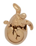 A-68 | Sea Turtle Charm