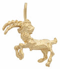 AS-001 | Zodiac Charm Capricorn Dec 22 – Jan 19