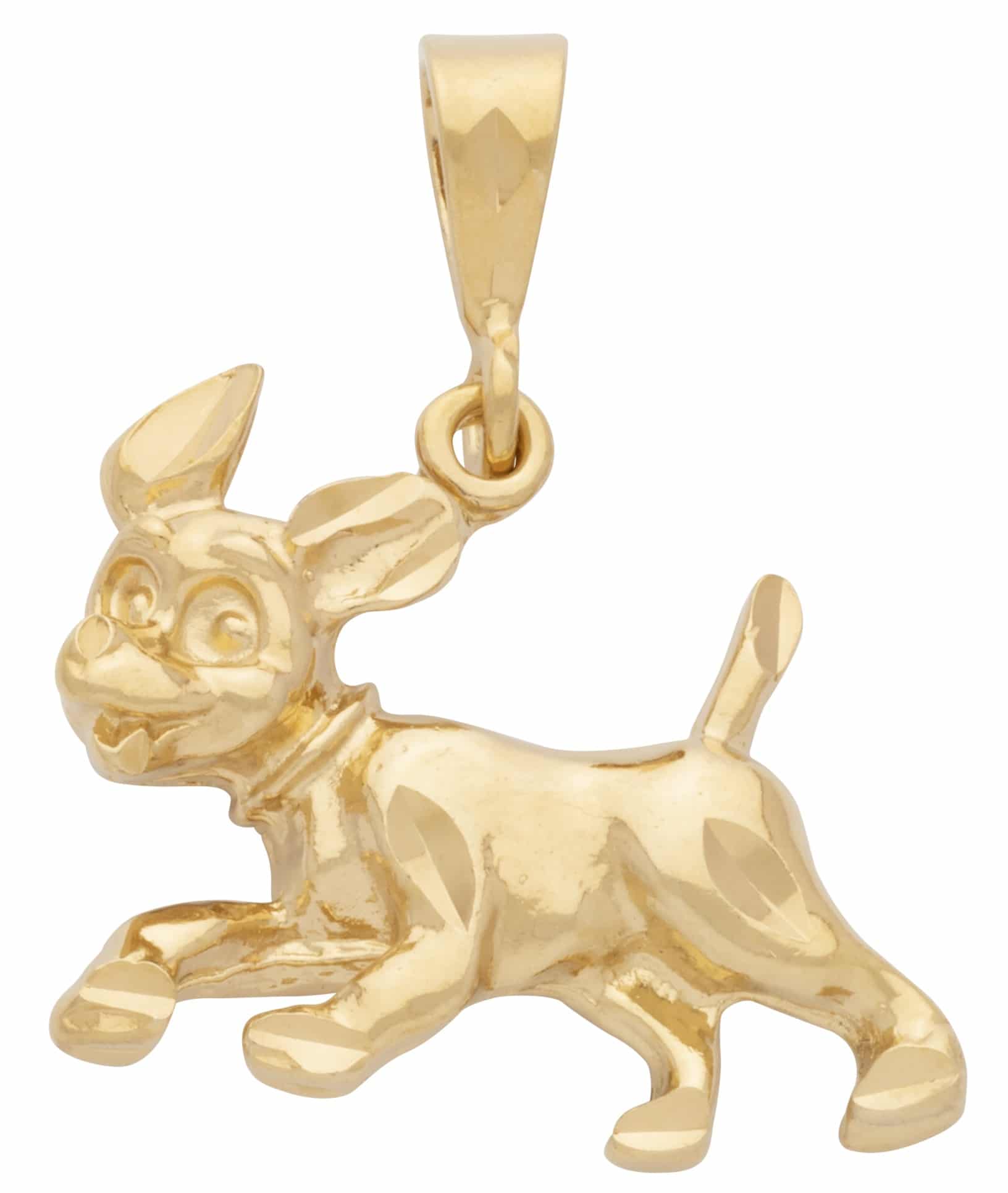 MD-039 |Dog