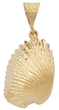 MD-227 |Sea Shell