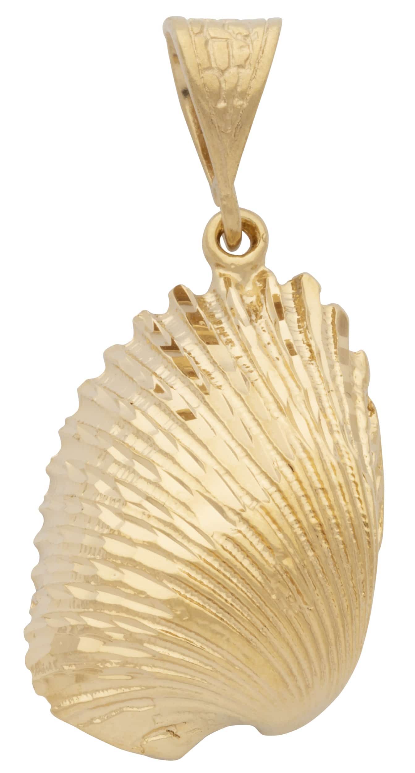 MD-227 |Sea Shell