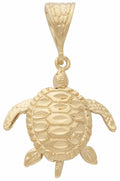 MD-238 | Sea Turtle