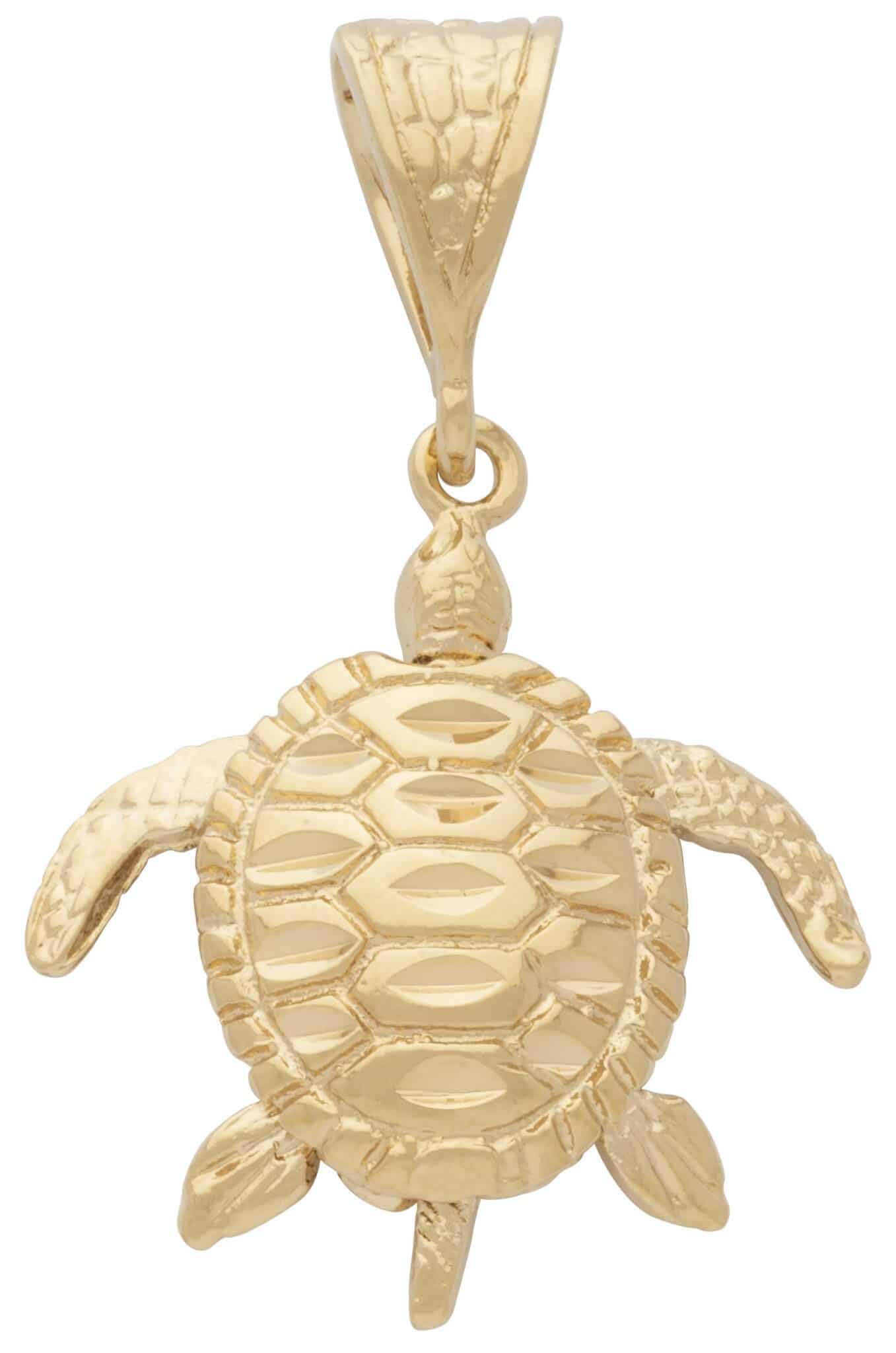 MD-238 | Sea Turtle
