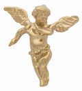 R-231 Angel